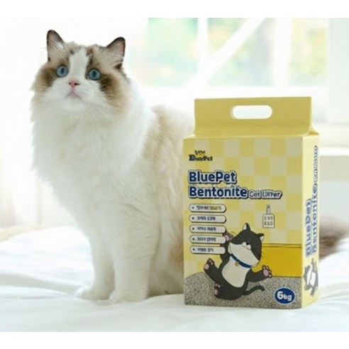 블루펫 먼지없는 벤토나이트 고양이 모래 이미지 3