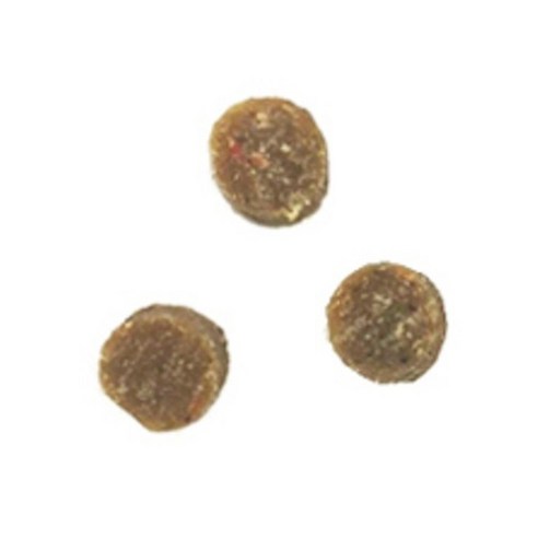 후코홀릭 전연령 도그 동애등에 소프트사료 솔직 후기 | 실제 사용자 리뷰 총정리 - 상품 이미지 4