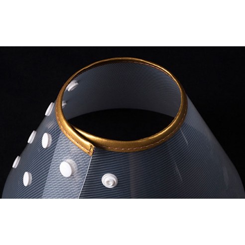 딩동펫 똑딱 깔때기 넥카라 이미지 4