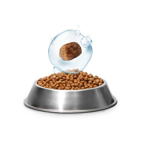 무마진 전연령 강아지 소프트사료 솔직 후기 | 실제 사용자 리뷰 총정리 - 상품 이미지 4