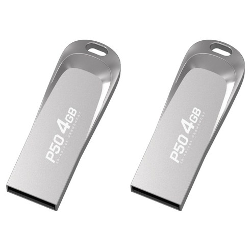PLEIGO USB 메모리 P50, 4GB, 2개