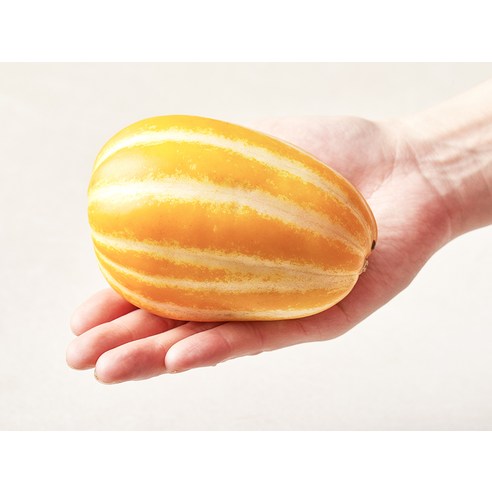 황금빛 달콤함, 성주 당도선별 실속 참외로 여름을 맛보세요!