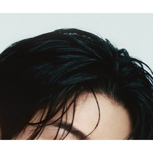 다슈 컬러 패스트 체인지 새치전용 염색제 후기 분석 - 사용 설명 이미지