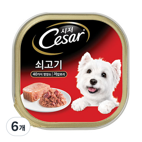 시저 1세 이상 어덜트 강아지 주식캔, 100g, 6개