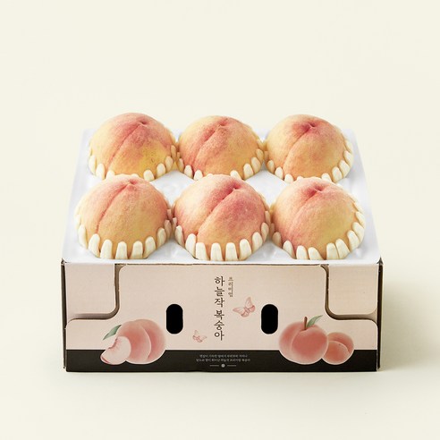 하늘작 충주 당도선별 부드러운 백도복숭아, 1.8kg(5~8입), 1개