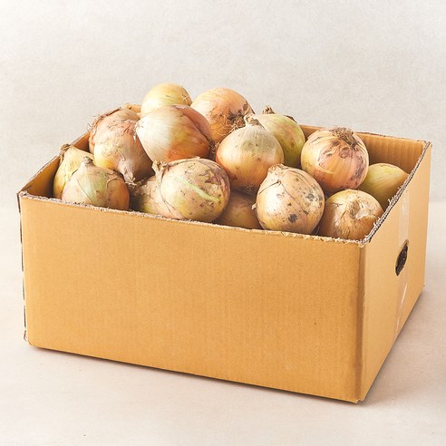 국내산 양파, 12kg (대,특대 혼합), 1박스