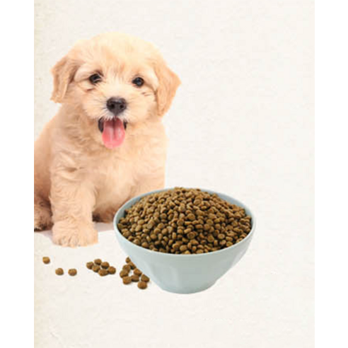 건강백서 전연령 강아지 기능성 사료 솔직 후기 | 실제 사용자 리뷰 총정리 - 상품 이미지 4