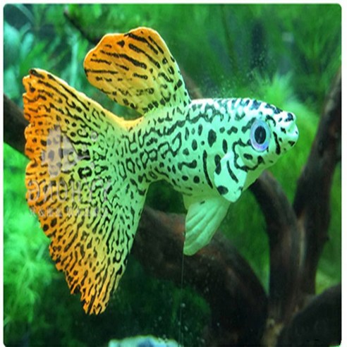 밤의 수조, 살아 숨 쉬는 보석처럼 빛나다