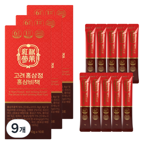 웰트릿 고려홍삼정 홍삼비책 10p, 9개, 100g