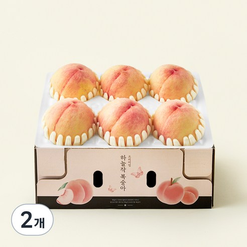 2개