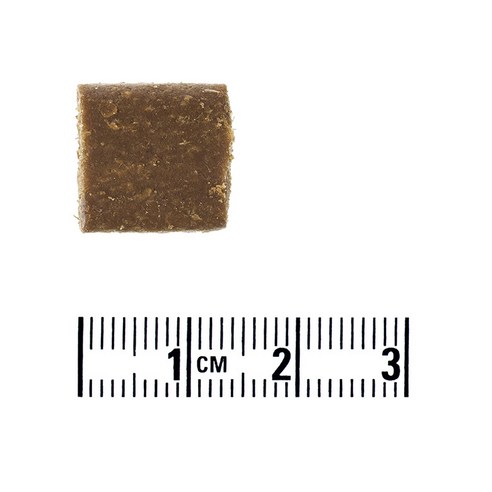 탐사 강아지 트릿 영양제 이미지 4