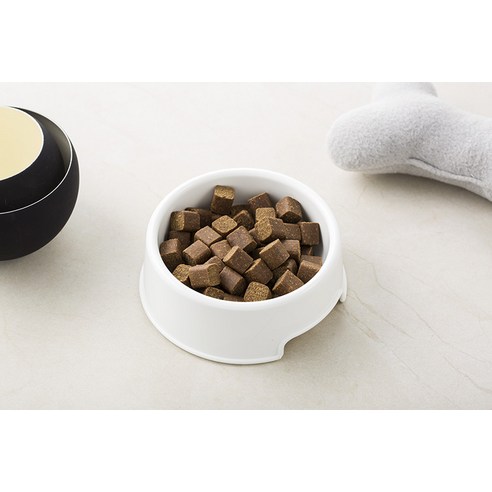 탐사 강아지 트릿 영양제 솔직 후기 | 실제 사용자 리뷰 총정리 - 상품 이미지 2