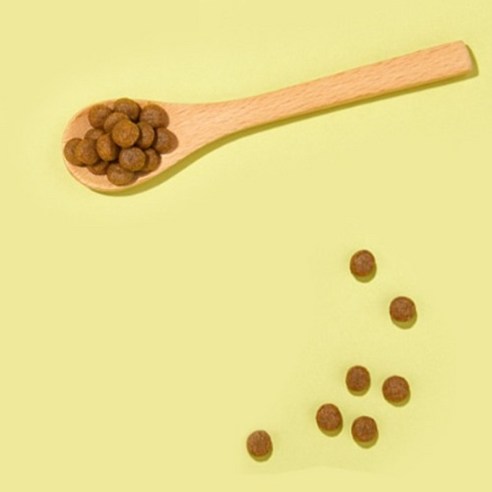 잘먹잘싸 전연령 강아지 그레인프리 건식사료 이미지 3