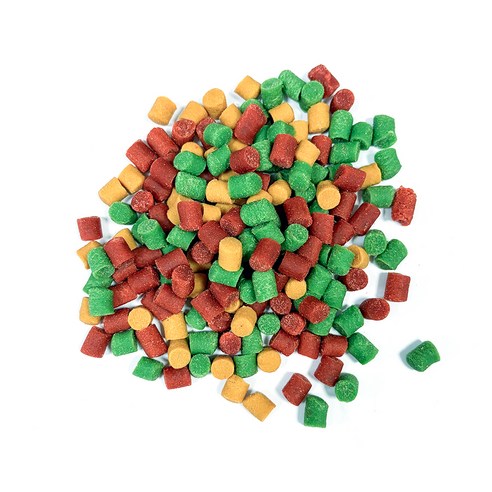 벨버드 강아지 킹 져키 S 이미지 3