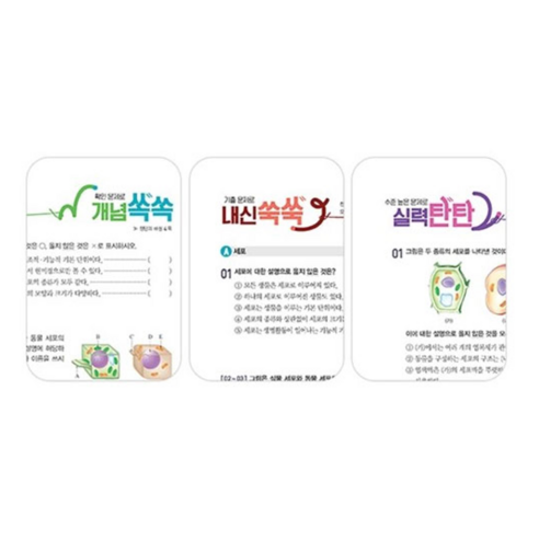 2025 오투 이미지 3