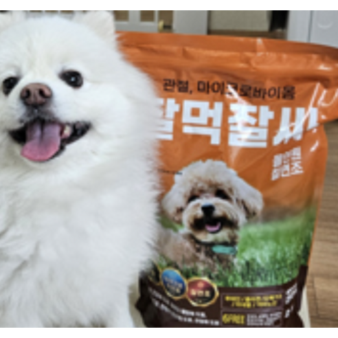 잘먹잘싸 강아지 건식사료 이미지 2