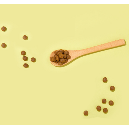 잘먹잘싸 전연령 강아지 그레인프리 건식사료 솔직 후기 | 실제 사용자 리뷰 총정리 - 상품 이미지 3