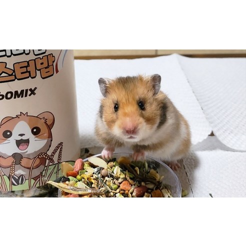 내츄럴한 프리미엄 햄스터밥 60Mix 솔직 후기 | 실제 사용자 리뷰 총정리 - 상품 이미지 3