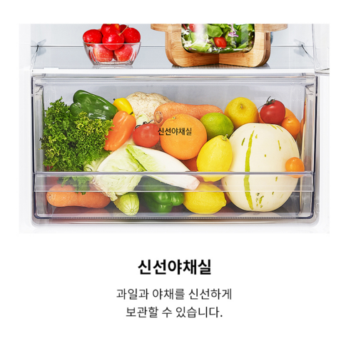 [색상선택형] LG전자 오브제 335L 2도어 냉장고 메탈 방문설치 후기 분석 - 도어 핸들 디자인