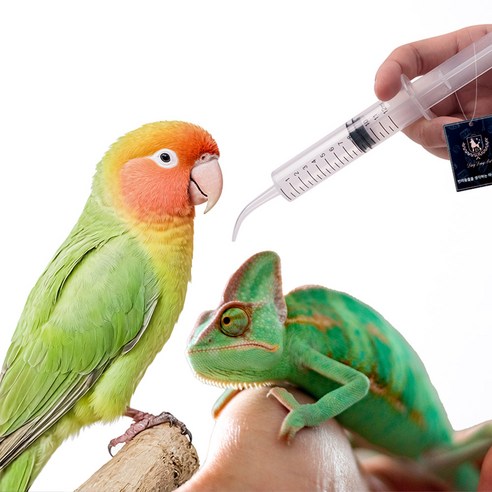 딩동펫 커브 소동물 피딩용 주사기 5p 이미지 2