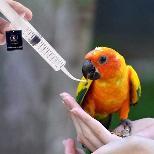 딩동펫 커브 소동물 피딩용 주사기 5p 솔직 후기 | 실제 사용자 리뷰 총정리 - 상품 이미지 4