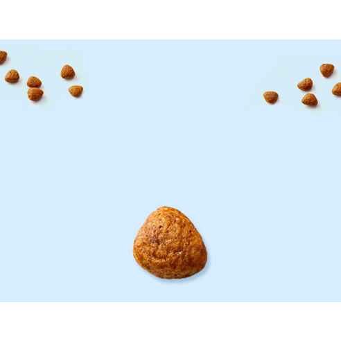 마이펫닥터 강아지 시그니처 유기농 기능성 사료 솔직 후기 | 실제 사용자 리뷰 총정리 - 상품 이미지 4