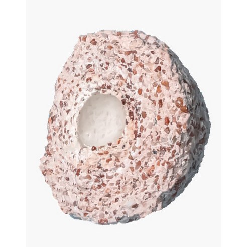 맑고 건강한 어항, 답답함 대신 찾아오는 여유