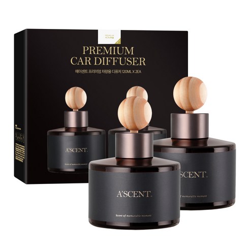 에이센트 차량용 디퓨저 세트 실사용 후기 | 효과 있을까? 썸네일