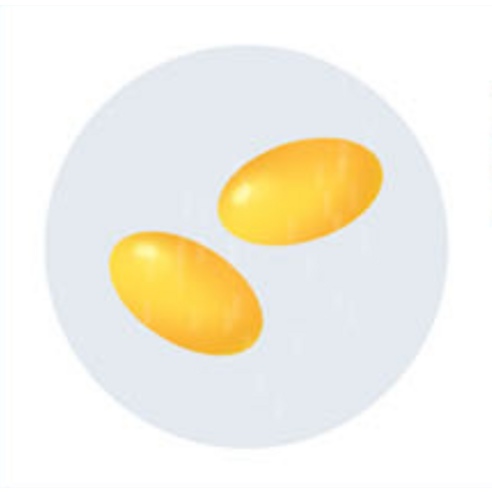 함소아 비타민D 1000IU 60p 60정, 3개 솔직 후기 | 실사용자 리뷰 분석 - 상품 이미지 4