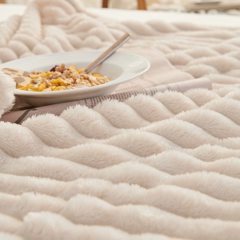 코멧 홈 코듀로이 극세사 담요 후기 분석 - 거실 배치 샷