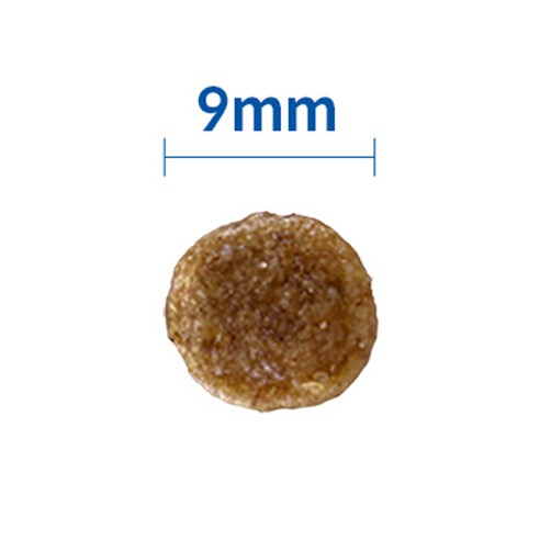 힐스 어덜트 7+ 스몰 바이트 강아지사료 솔직 후기 | 실제 사용자 리뷰 총정리 - 상품 이미지 4