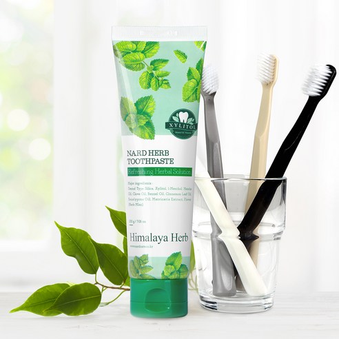 나드 부케가르니 구취케어 치약 후기 분석 - 욕실 비치 모습