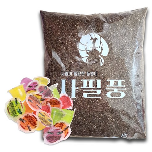 사필풍 사슴벌레 실속팩 세트, 혼합색상, 1세트