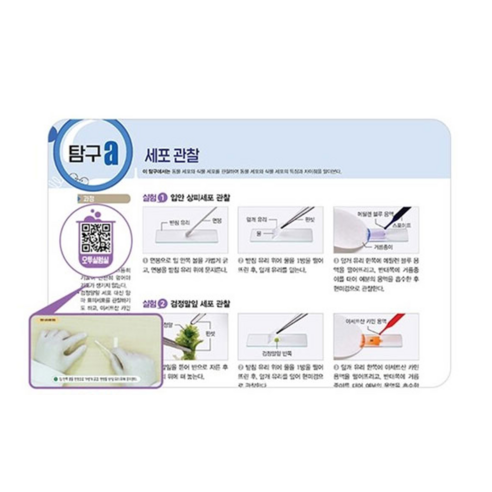 2025 오투 이미지 2