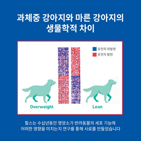 힐스사이언스다이어트 어덜트 강아지 퍼펙트 웨이트 & 조인트 서포트 건식사... 솔직 후기 | 실제 사용자 리뷰 총정리 - 상품 이미지 2