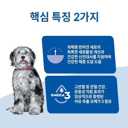 힐스사이언스다이어트 어덜트 강아지 퍼펙트 웨이트 & 조인트 서포트 건식사... 솔직 후기 | 실제 사용자 리뷰 총정리 - 상품 이미지 4