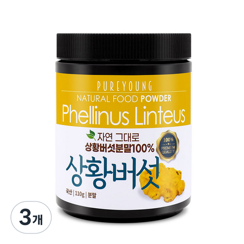 퓨어영 상황버섯 분말 110g, 3개 맛있게 먹은 솔직 후기 썸네일