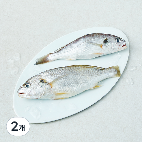 '어성 백조기 생물 2미 (냉장), 300g, 3개' 최저가 검색, 최저가 29,780원 - 할인 알림