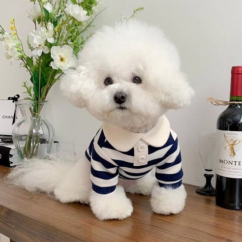 딩동펫 반려동물 앤유 스트라이프 카라 티셔츠, 네이비, 1개