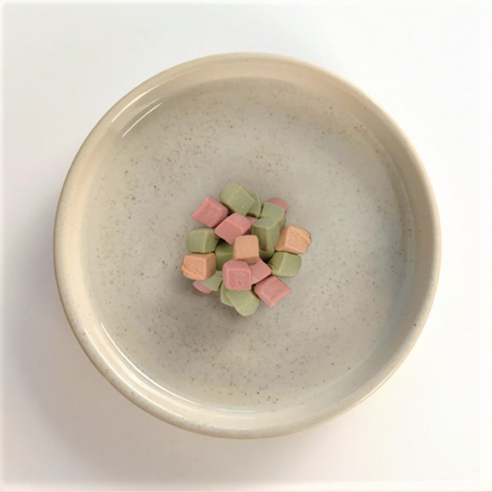 킵펫 강아지 노즈워크 져키 이미지 4