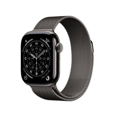 Apple 2025 애플워치 11, 슬레이트, 42mm, GPS+Cellular, 티타늄,슬레이트/슬레이트 밀레니즈 루프, Loop