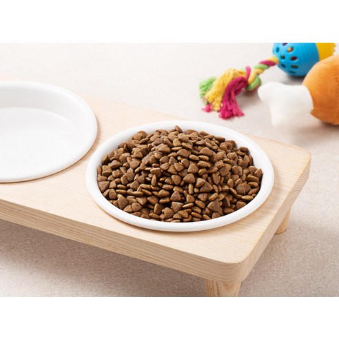 탐사 6free 강아지 사료 치킨 레시피 후기 분석 - 영양 성분표 확인