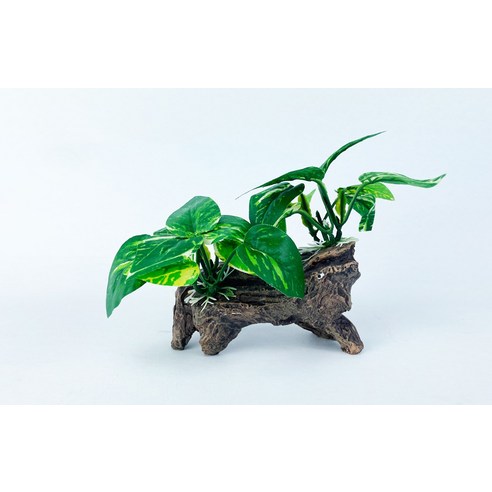 모비딕 오푸아 은신처 이미지 3