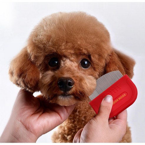 붐붐포 반려동물 이지 클린 그루밍 눈꼽빗 둥근 라운드 6.5 x 5.5 ... 솔직 후기 | 실제 사용자 리뷰 총정리 - 상품 이미지 4