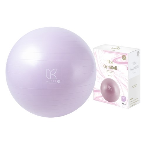 아리프 안티버스트 짐볼 + 에어펌프 + 공기마개 실사용 후기 | 효과 있을까? - 대표 이미지