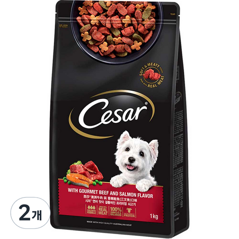 시저 어덜트 강아지 건식사료 솔직 후기 | 실제 사용자 리뷰 총정리 썸네일