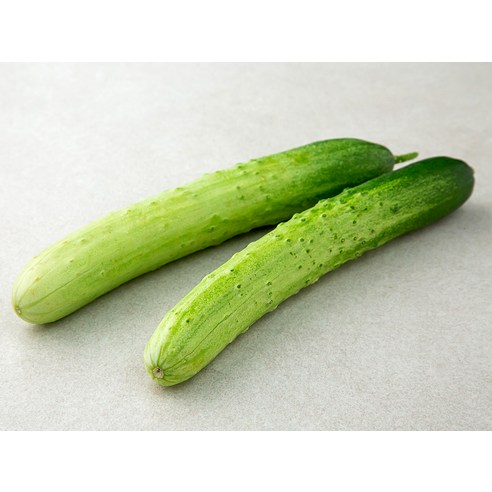 오늘 저녁, 신선한 국산 백오이로 밥상을 풍성하게!