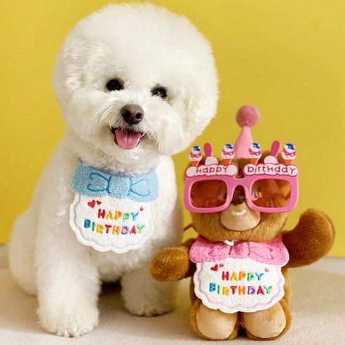 애완동물 생일 축하 스카프+모자 세트 솔직 후기 | 실제 사용자 리뷰 총정리 - 상품 이미지 2