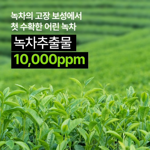 네이처리퍼블릭 어린녹차 순한 에멀전 솔직 후기 | 실사용자 리뷰 분석 - 상품 이미지 3