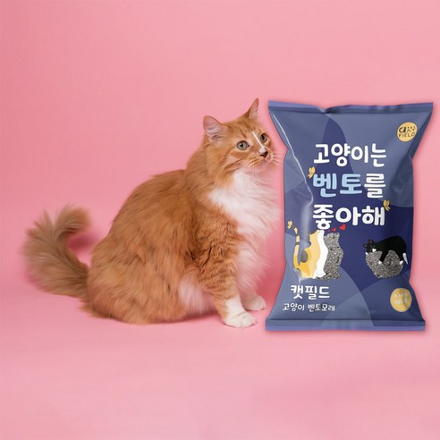 캣필드 응고형 고양이 벤토모래 이미지 2